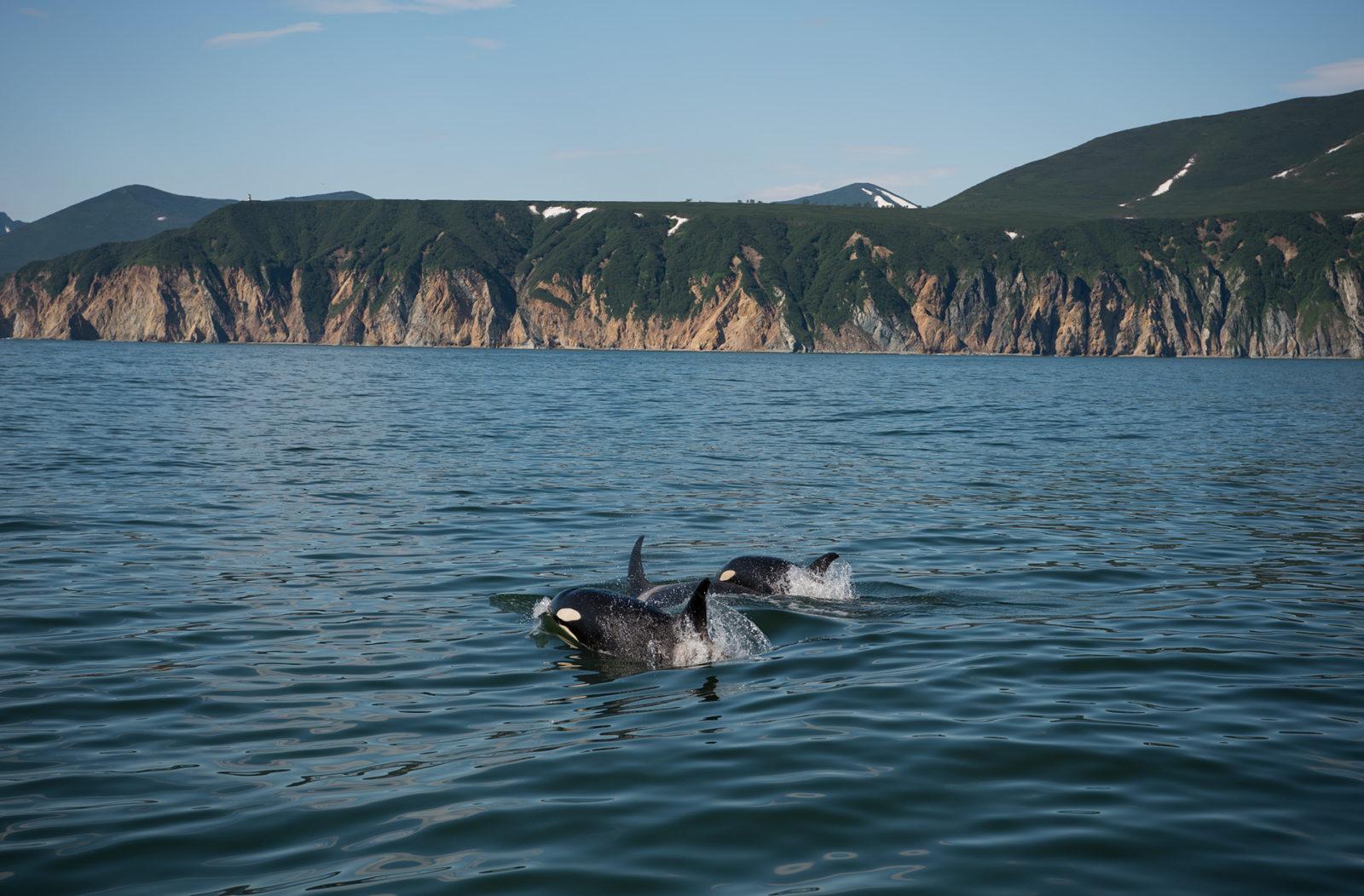 Travel to Kamchatka: to do and to see