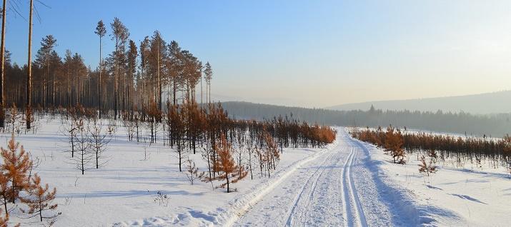 "Magical Siberia"- by eyes of Siberian "Magical Siberia"- by eyes of Siberian