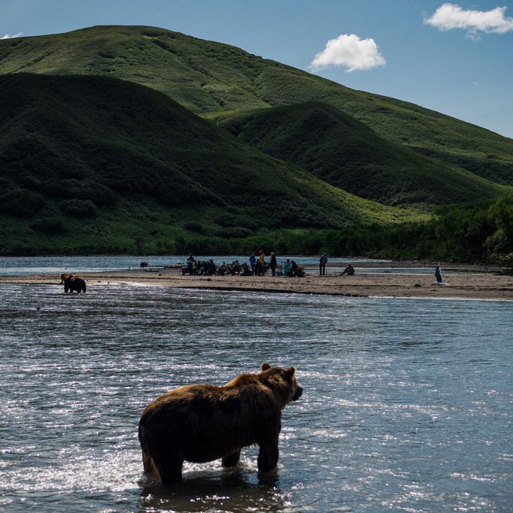 bearandlake